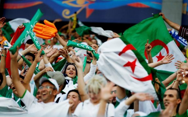 أمم أفريقيا : مدرب الجزائر يكشف حقيقة هجومه على الجماهير المصرية قبل نهائي كأس الأمم