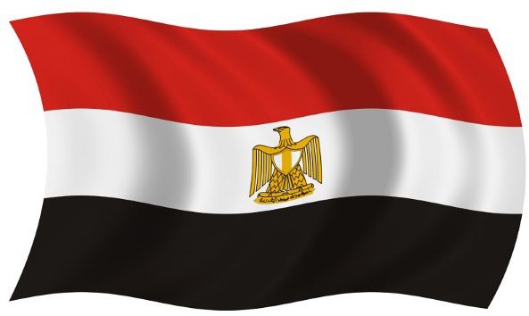 بيان من اللجنة الأولمبية المصرية بشأن ملابسات إيقاف رفع الأثقال