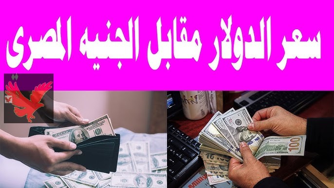 أخر تحديث الآن لحظة بلحظة.. سعر الدولار مقابل الجنيه اليوم الجمعة 28 فبراير 2025 في البنوك المصرية