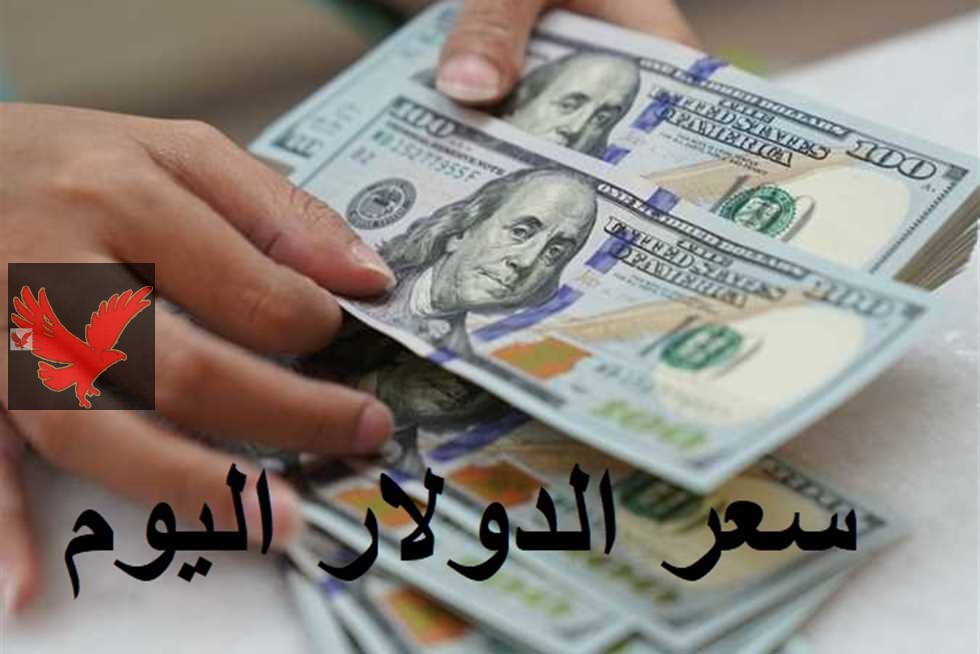 كم 100 دولار في السوق السوداء!؟.. سعر الدولار مقابل الجنيه اليوم الثلاثاء 25 فبراير في البنوك المصرية “مفاجأة غير متوقعة بالسوق السوداء”