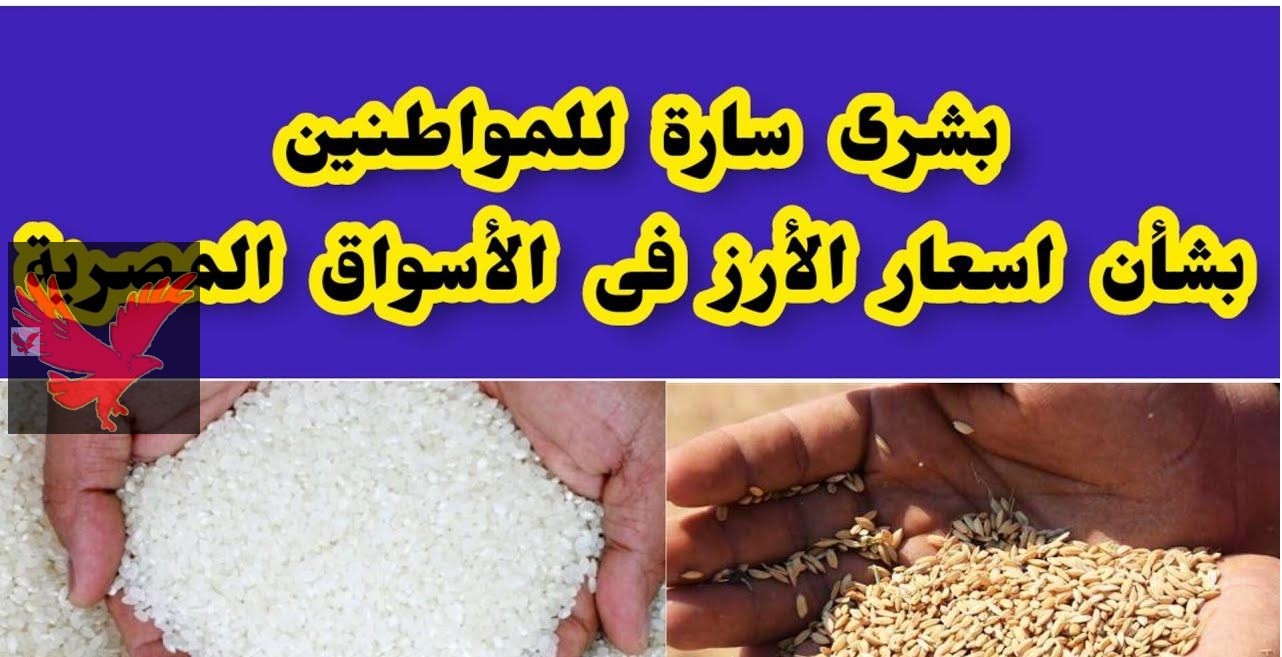 عريض الحبة بيفاجئ التجار.. سعر طن الأرز الشعير اليوم الثلاثاء 11 فبراير 2025 قبل شهر رمضان “تغييرات جديدة بالجملة”
