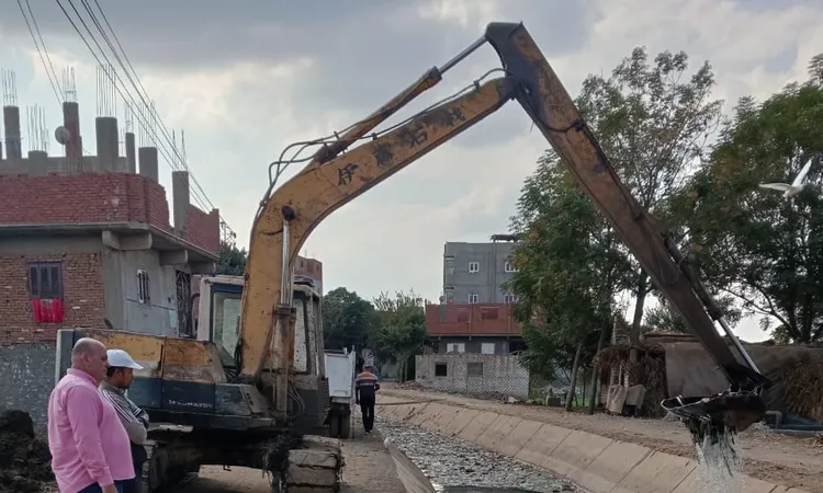 زراعة المنوفية: الموافقة على ترخيص 717 مشروعا زراعيا متنوعا خلال ستة أشهر