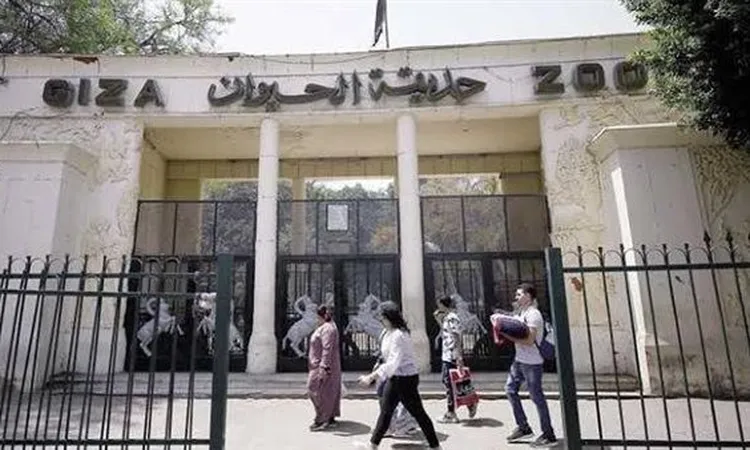 «الوزراء» يكشف خطة تطوير حديقة الحيوان بالجيزة
